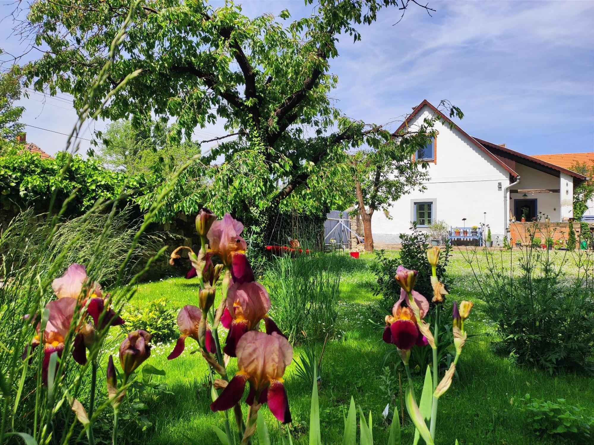Apartment Henye Vintage A Kali-medenceben Balatonhenye
